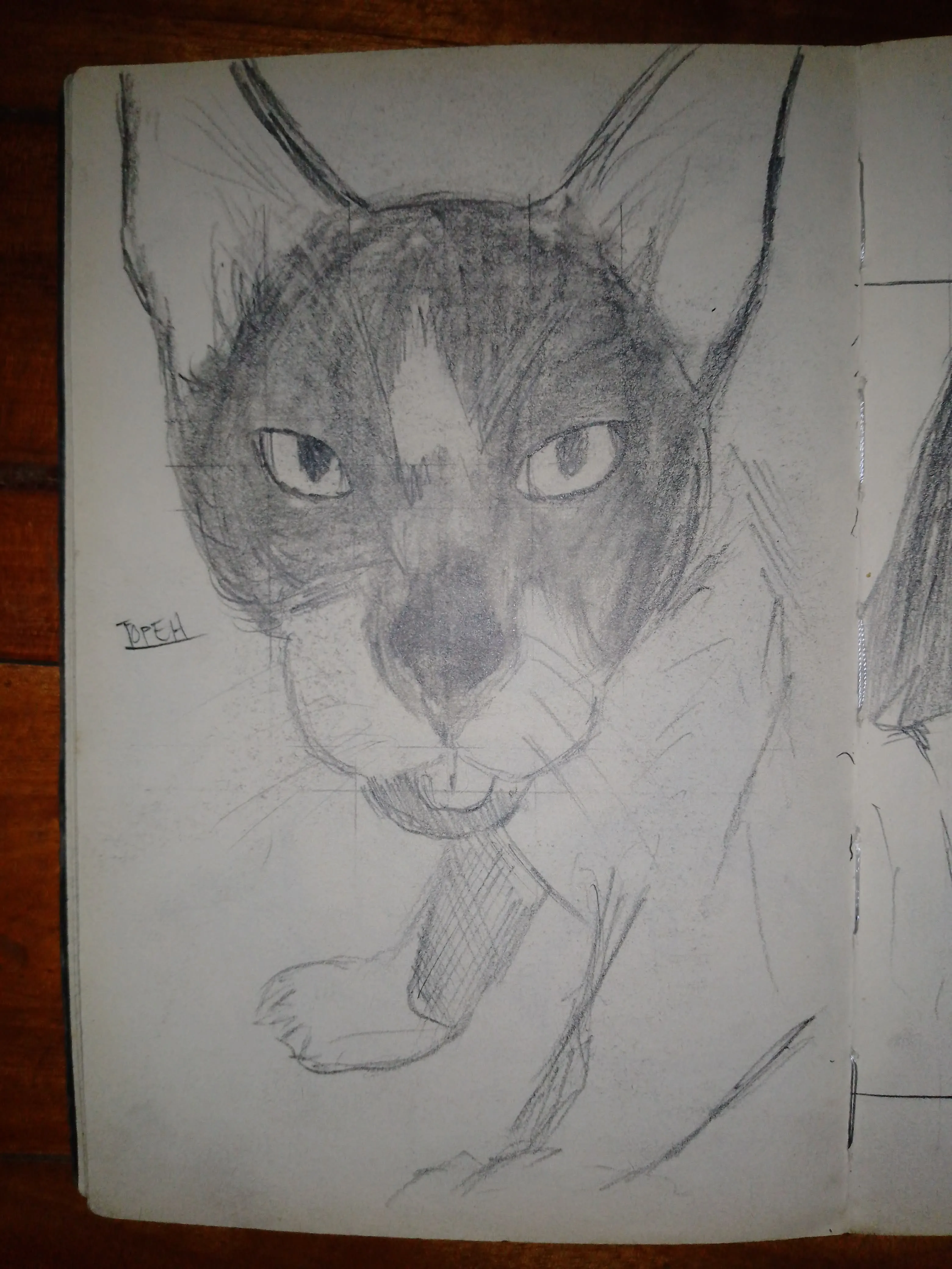 Traditional hand-drawn sketch by TOPEH